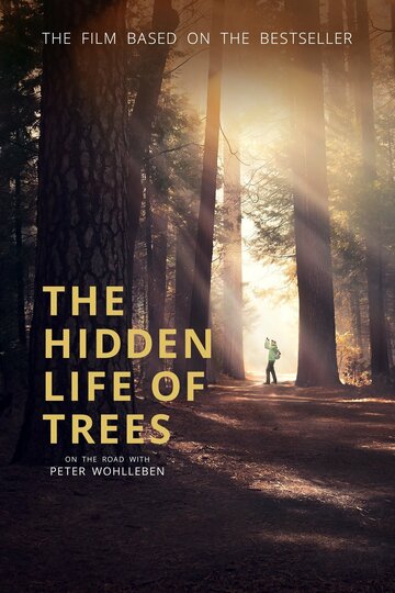 Тайная жизнь деревьев (2020)