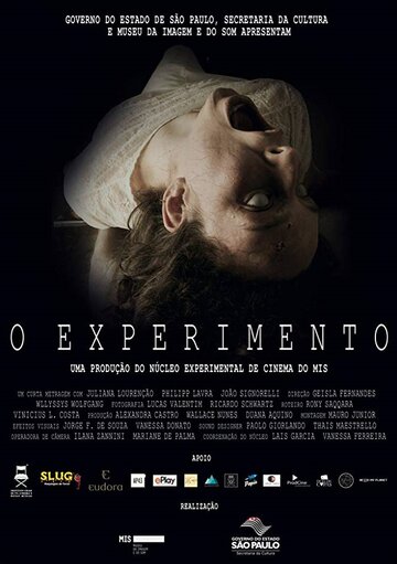 O Experimento (2016)